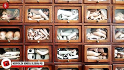 Hospital de Bonecas Best Toy Stories of the World